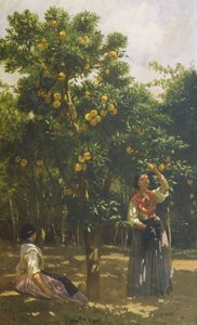Appelsintrær med kvinner